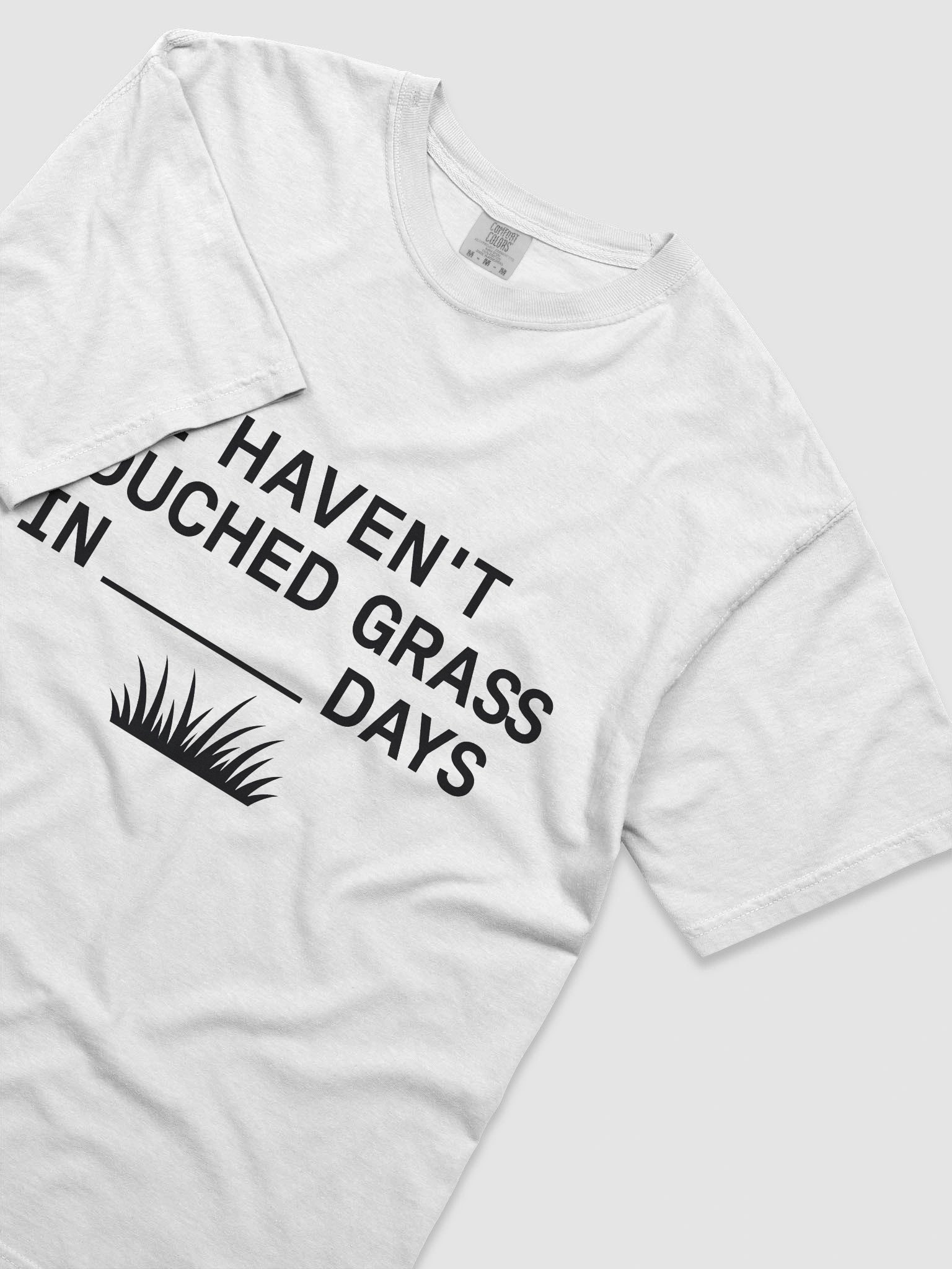 I Haven’t Touched Grass Tee product image (5)