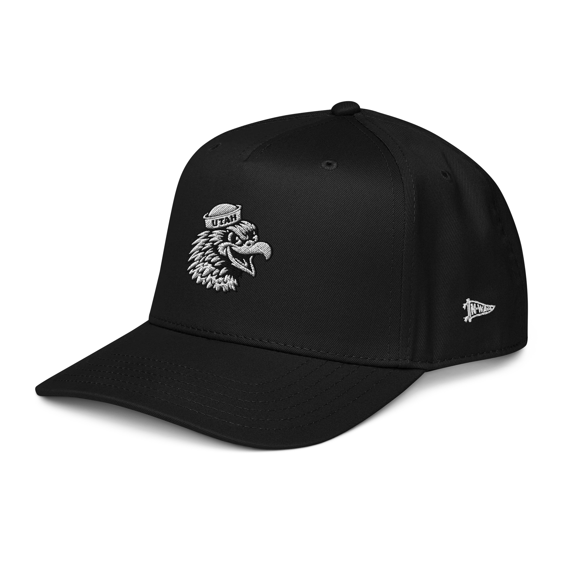 Collegiate Red Tailed Hawk Cap (Blackout) product image (3)