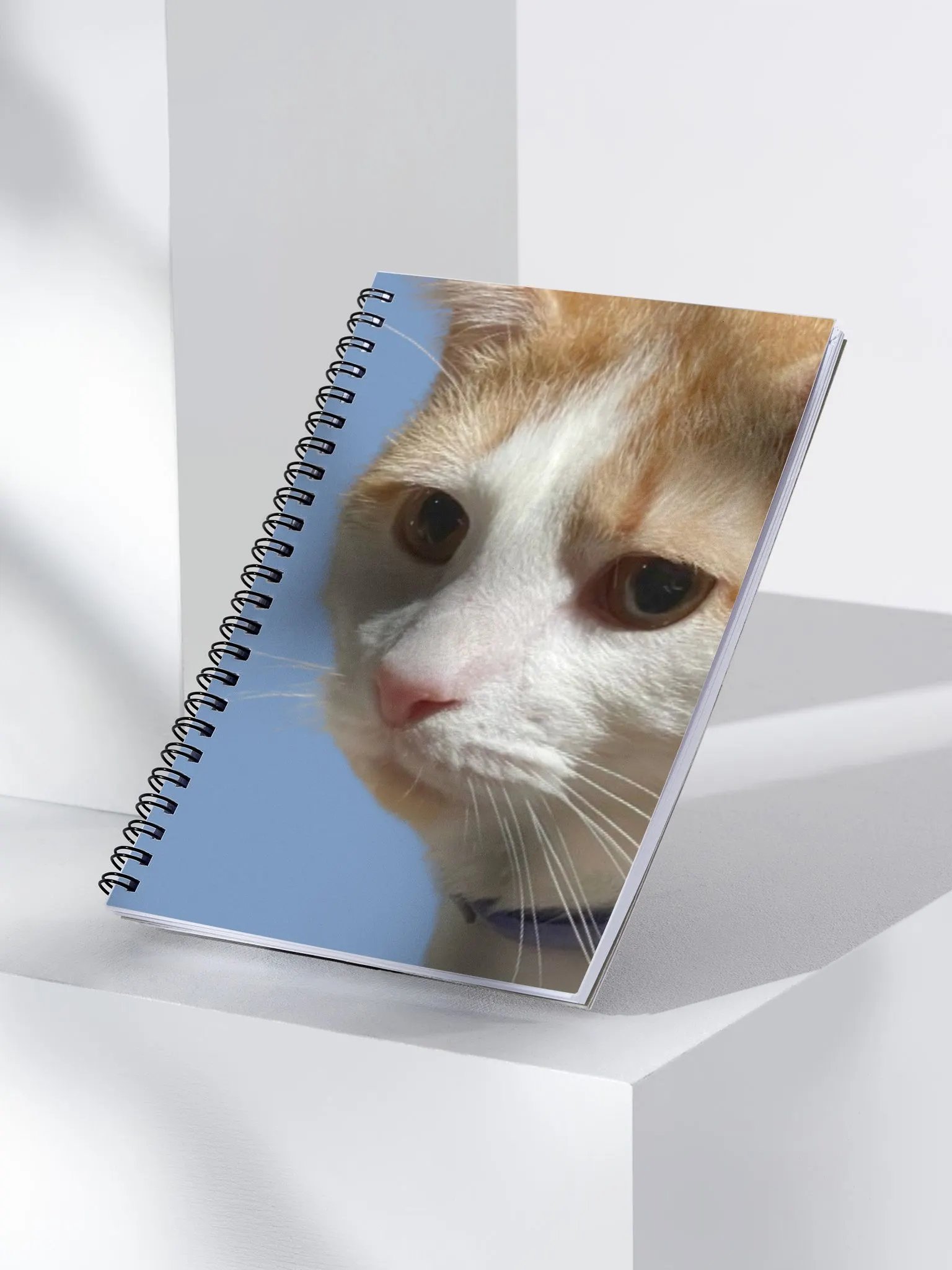 Thurston's Journal product image (3)