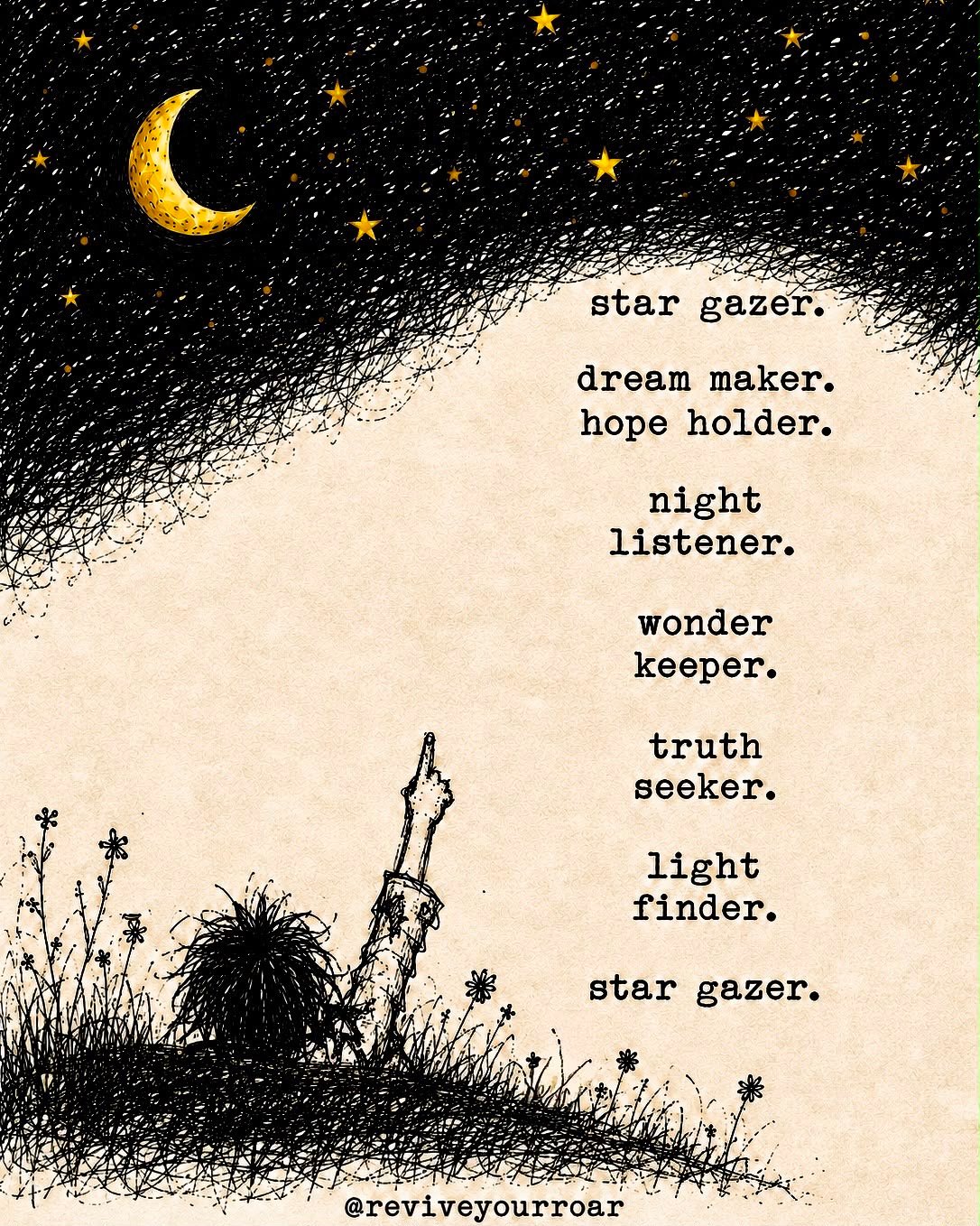 star gazer product image (1)