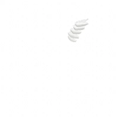 Angel25 product image (2)
