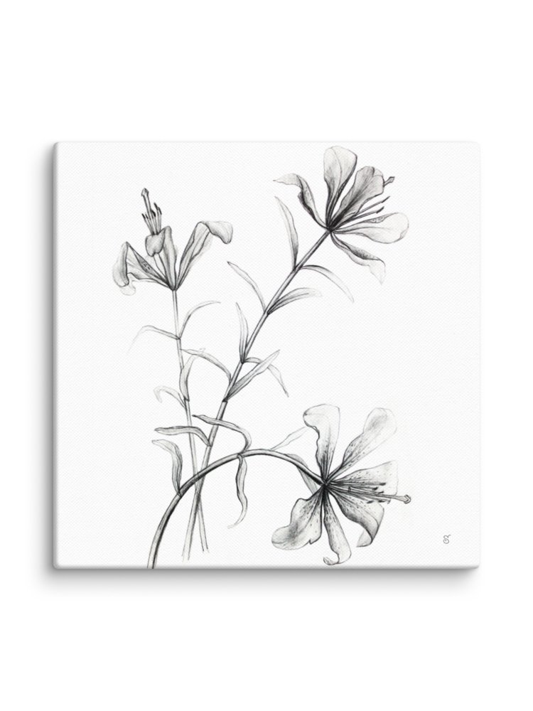 Blossom Canvas Collection - Wild Elegant Flowers product image (2)