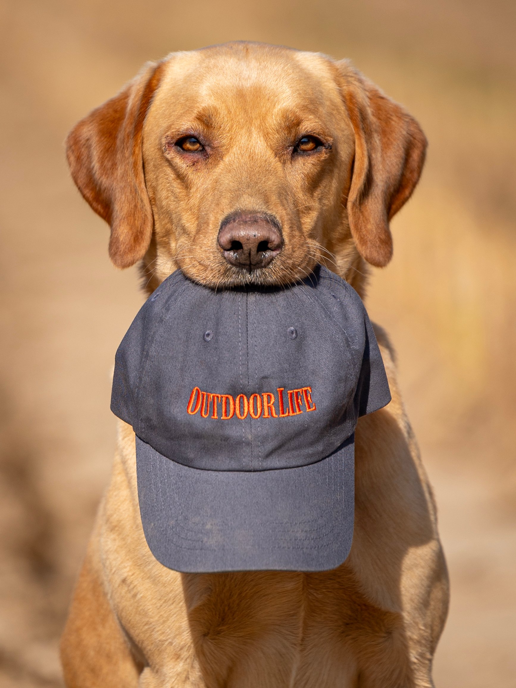 Outdoor Life Hat product image (3)