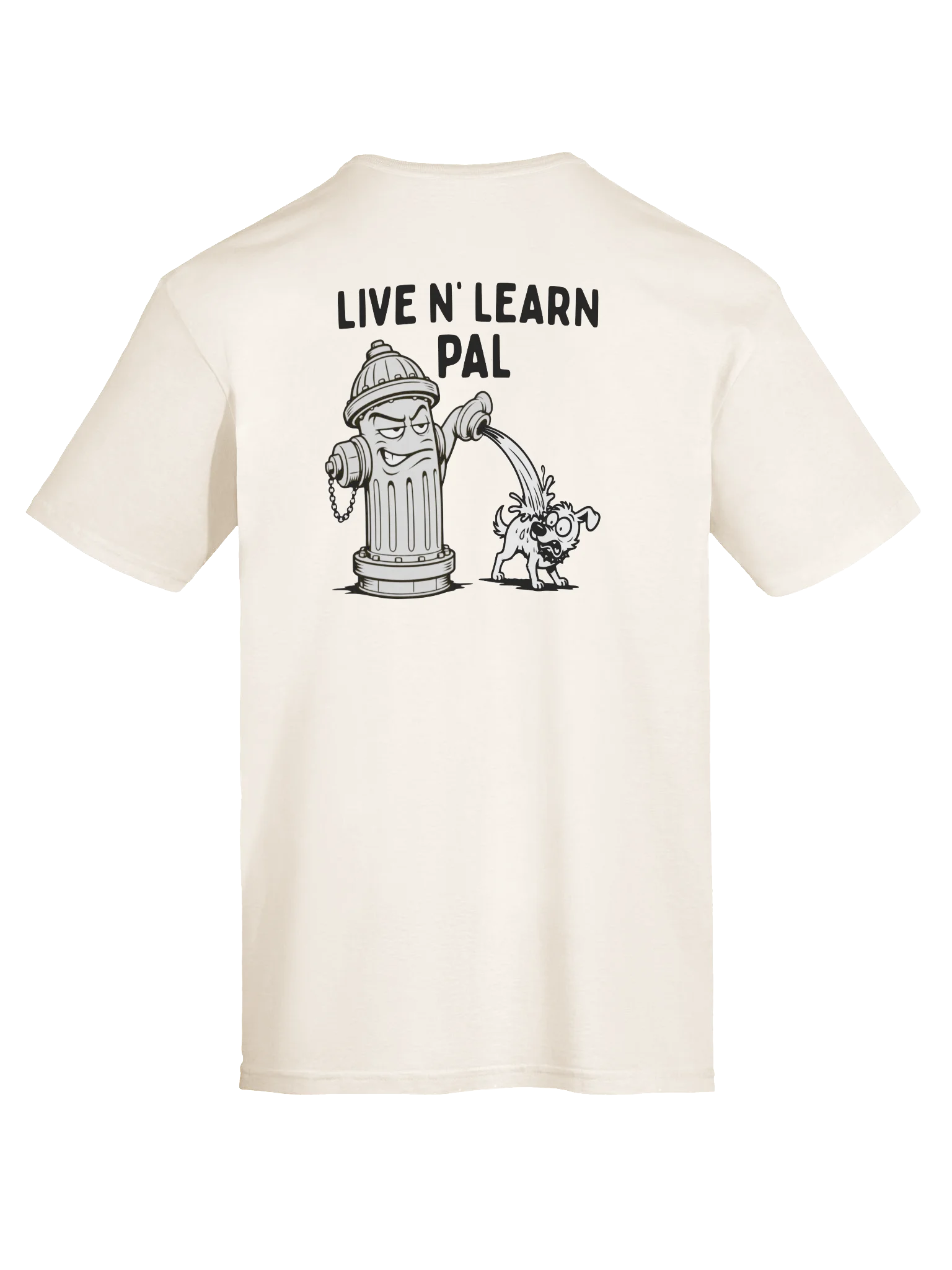 LIVE N' LEARN product image (1)