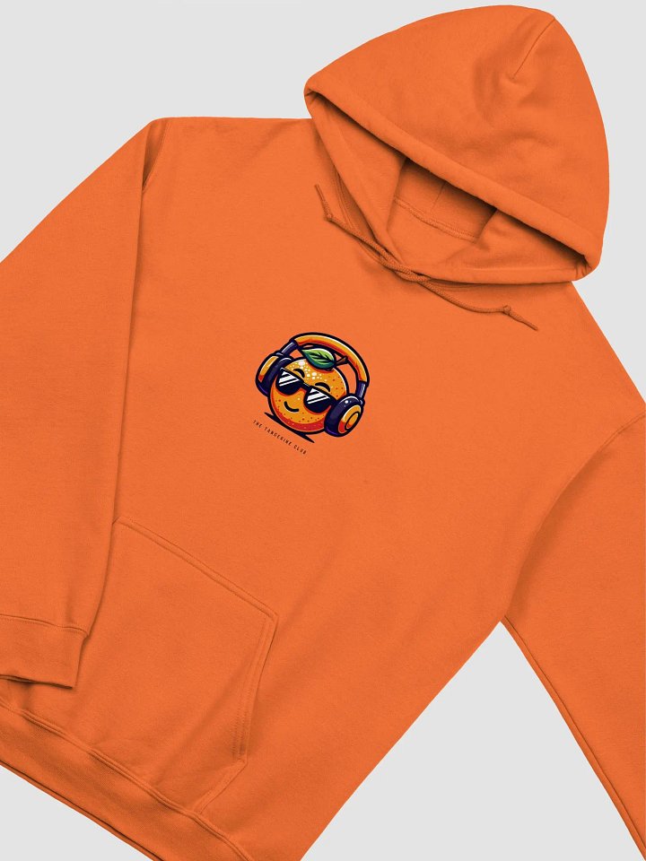 TTC Classic Hoodie product image (49)