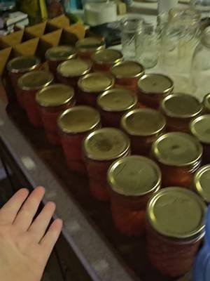 I've got tomato juice for days (and nights) at this point 💀 #tomatojuice #canning #antiquepizzabox 