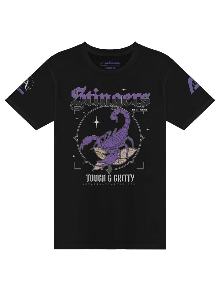 ☢️ Astralis Stingers Spirit Tee product image (1)