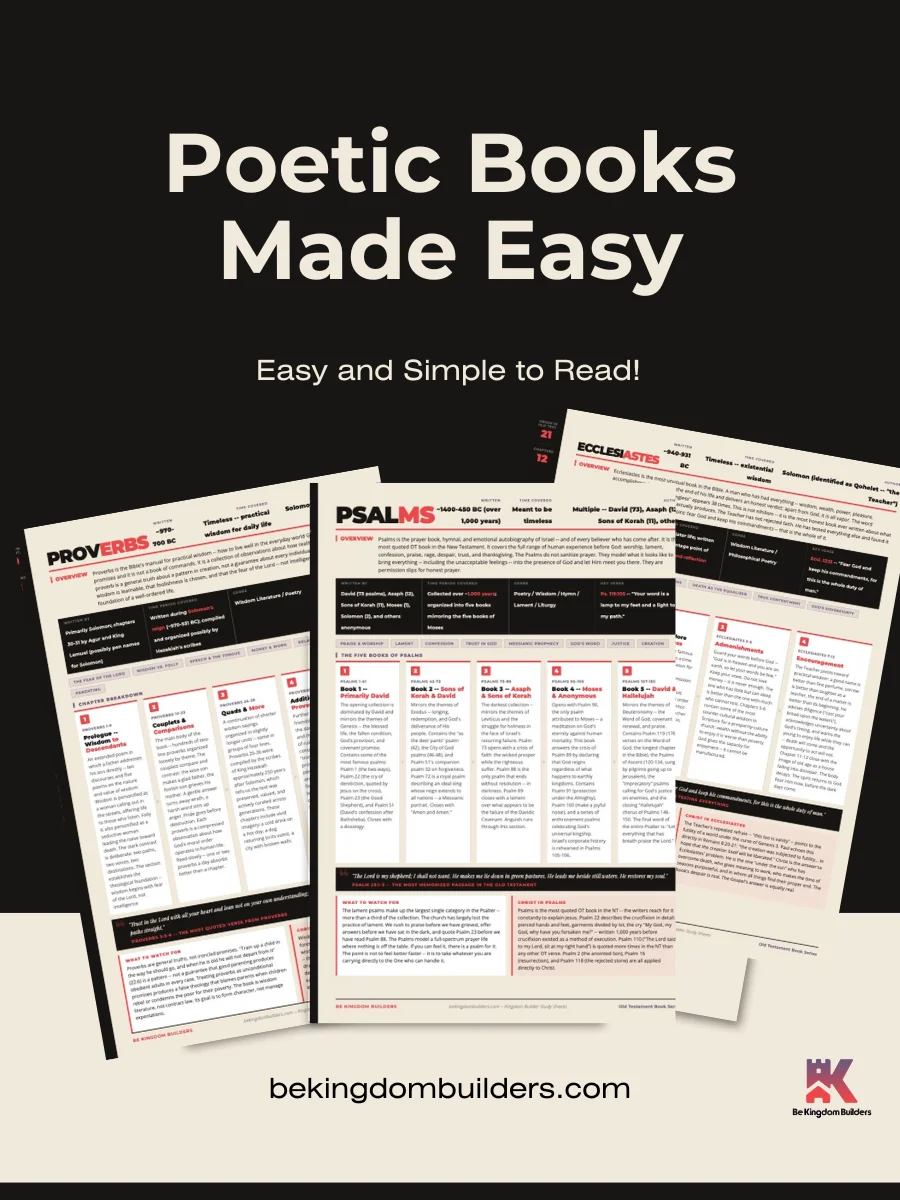 Kingdom Builder Study Sheets | Old Testament Book Series | Digital Download product image (6)