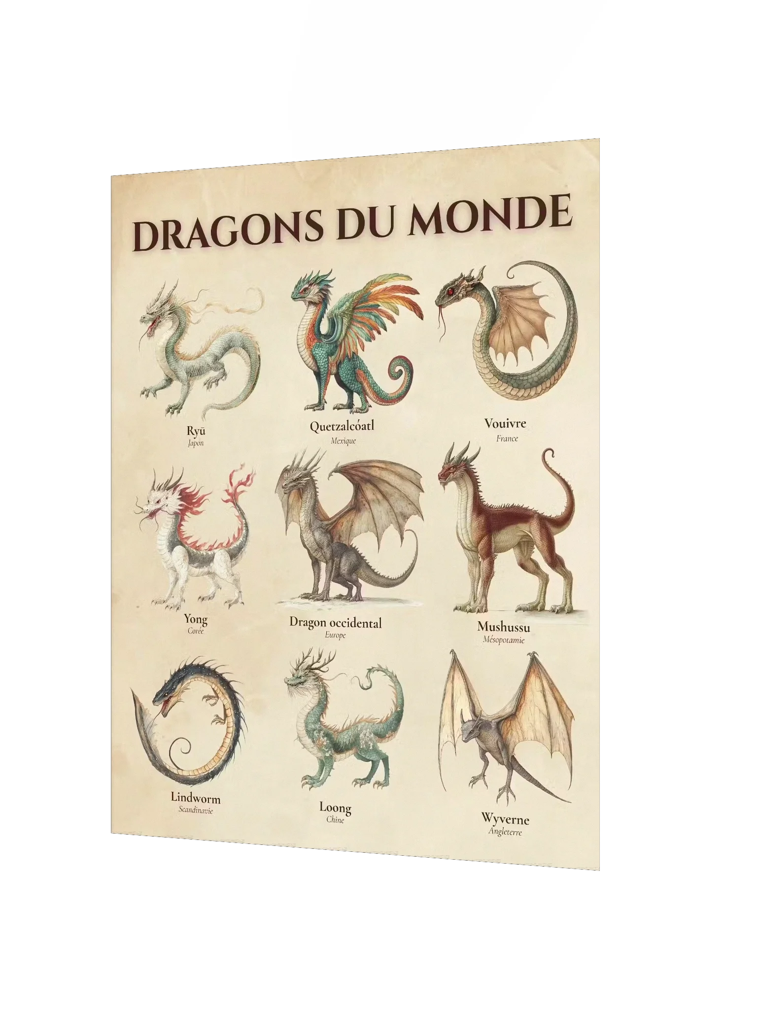 Poster Dragons du Monde - vue 6