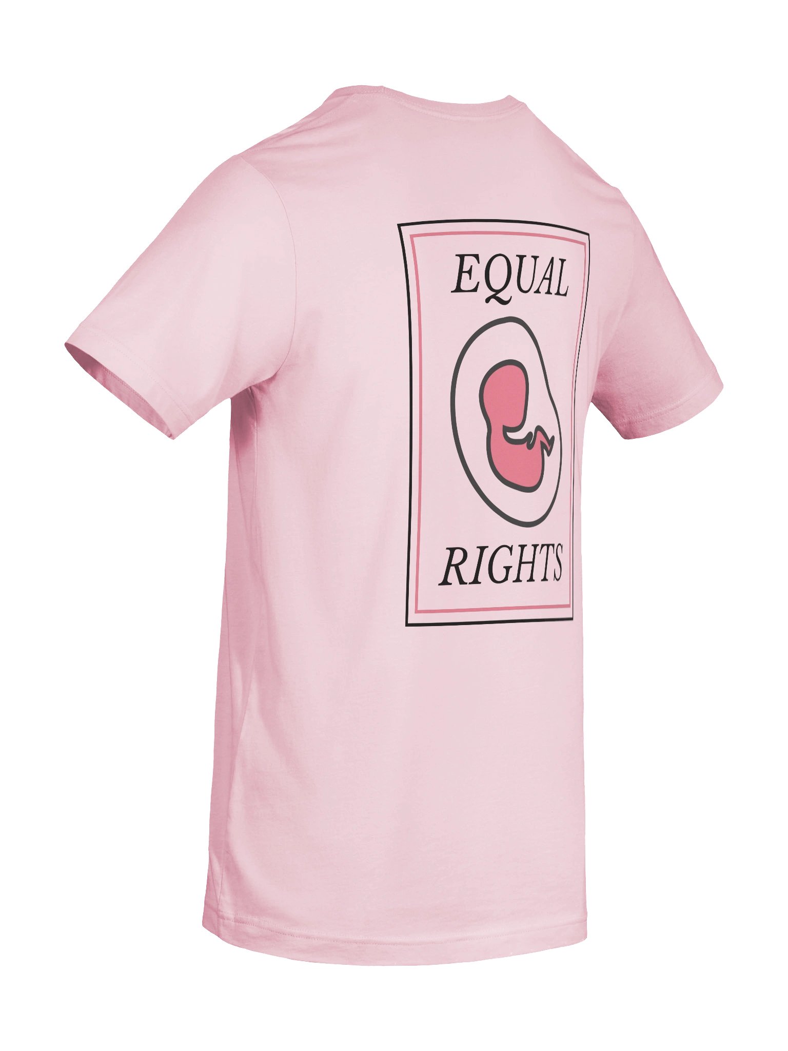 Equal Rights product image (15)