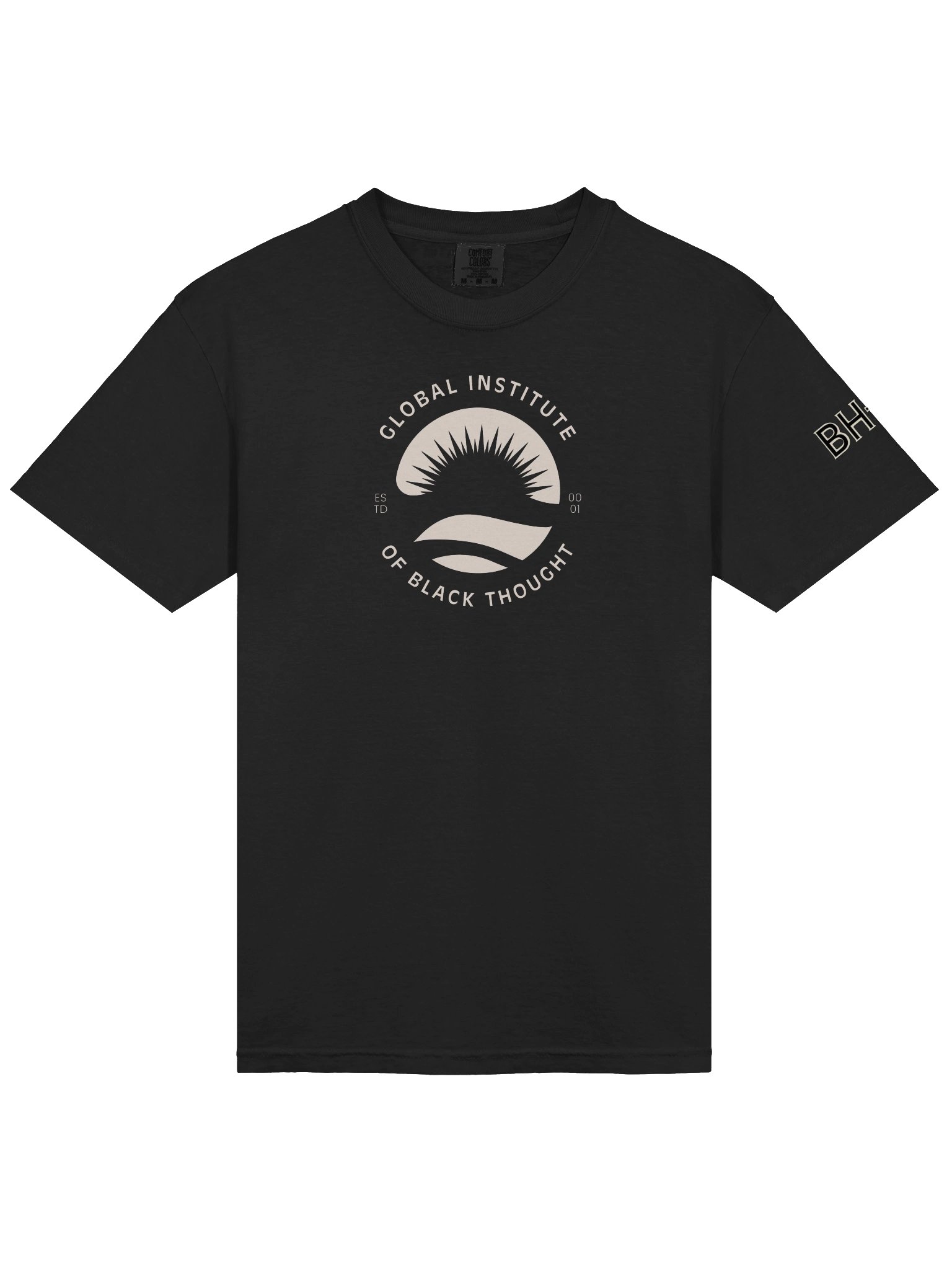 Global Institute of Black Thought | Heavyweight T-Shirt | Originology | Black History X product image (9)