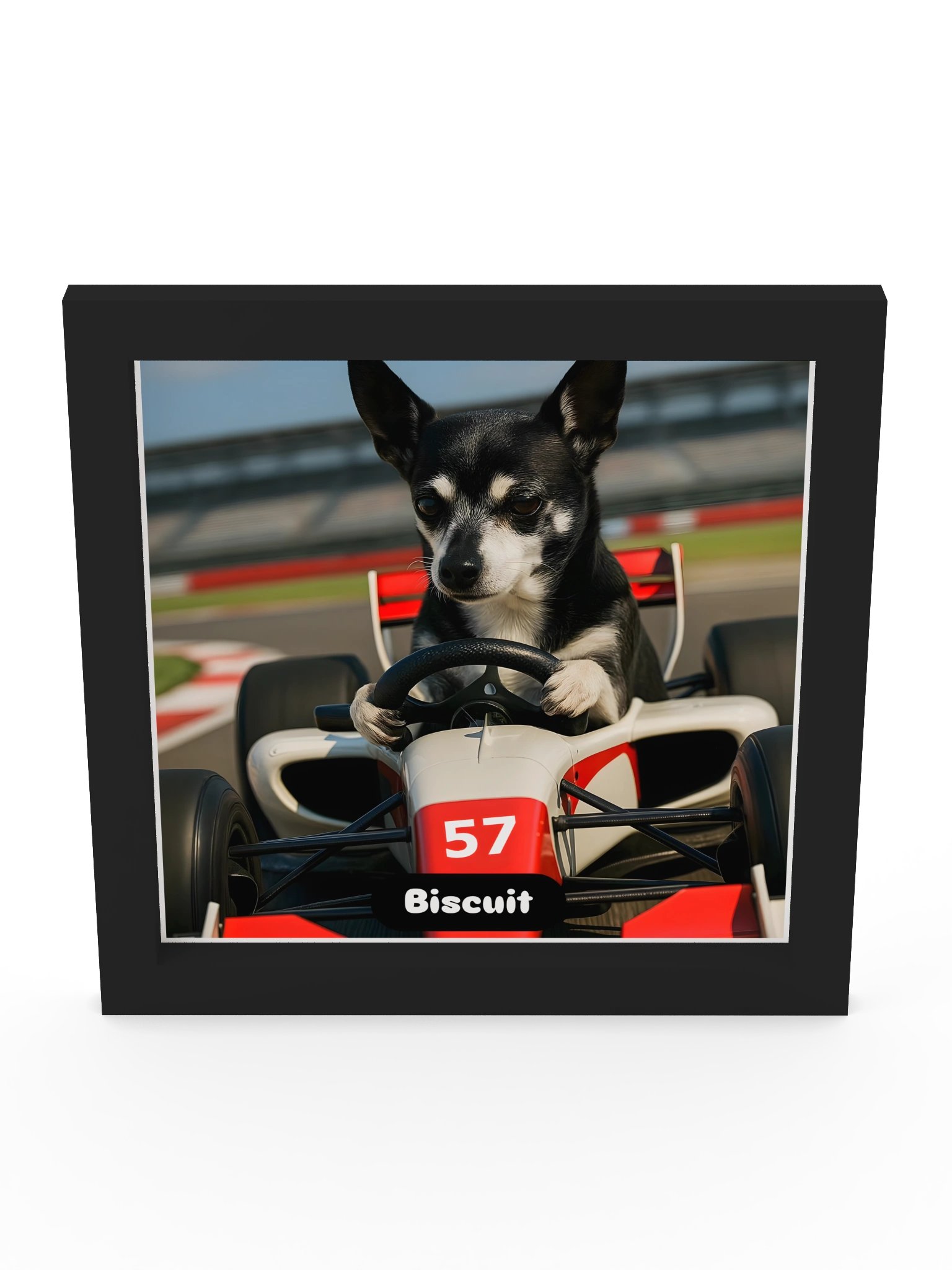 Biscuit at Silverstone product image (9)