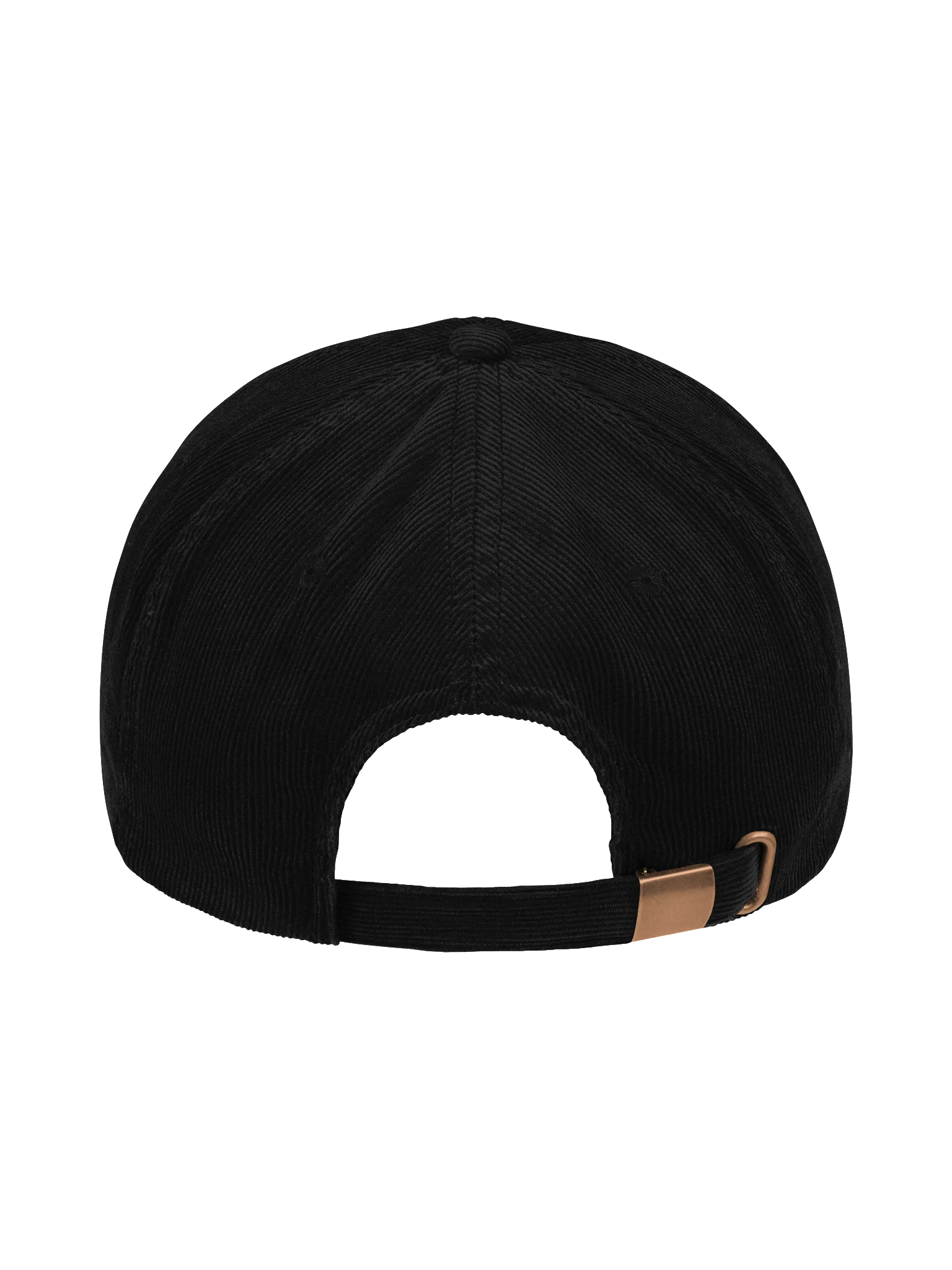 TDSA Dad Hat product image (2)