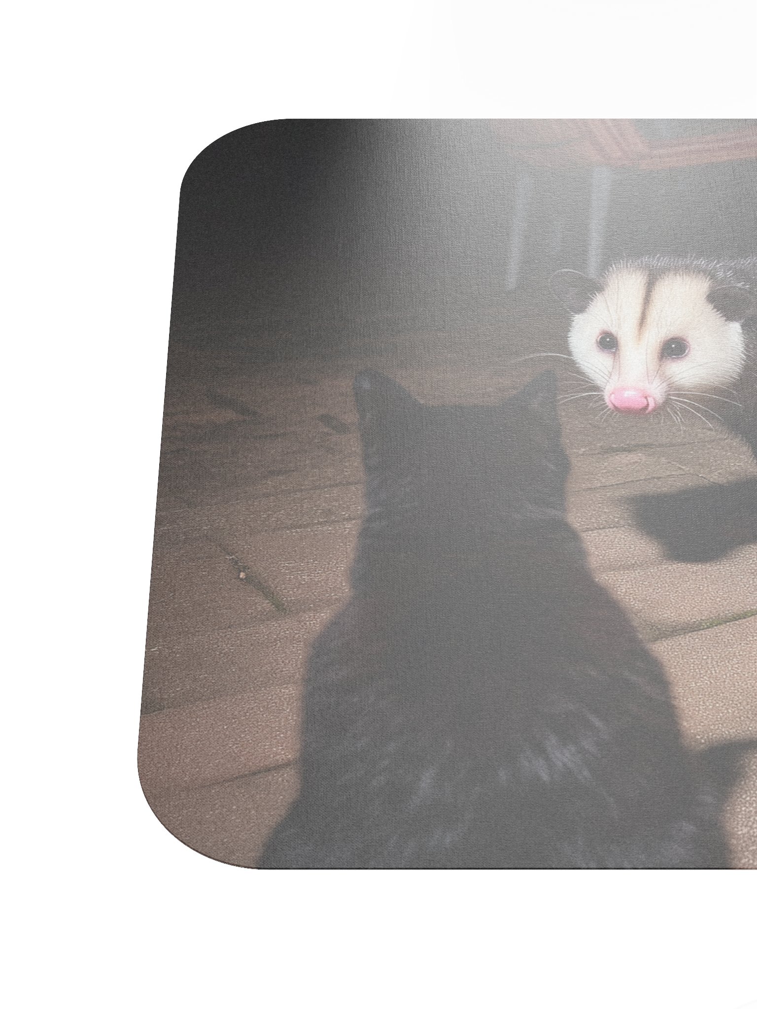 Cat meets opossum family Mouse Pad product image (6)