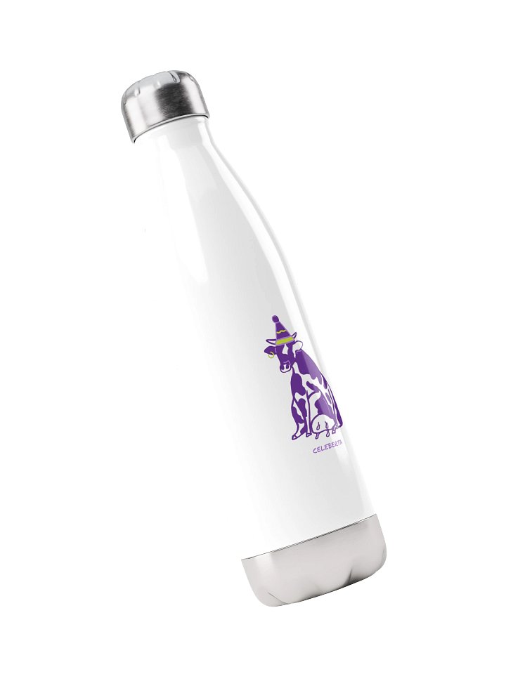 Celeberta - Stainless Steel Watter Bottle product image (2)