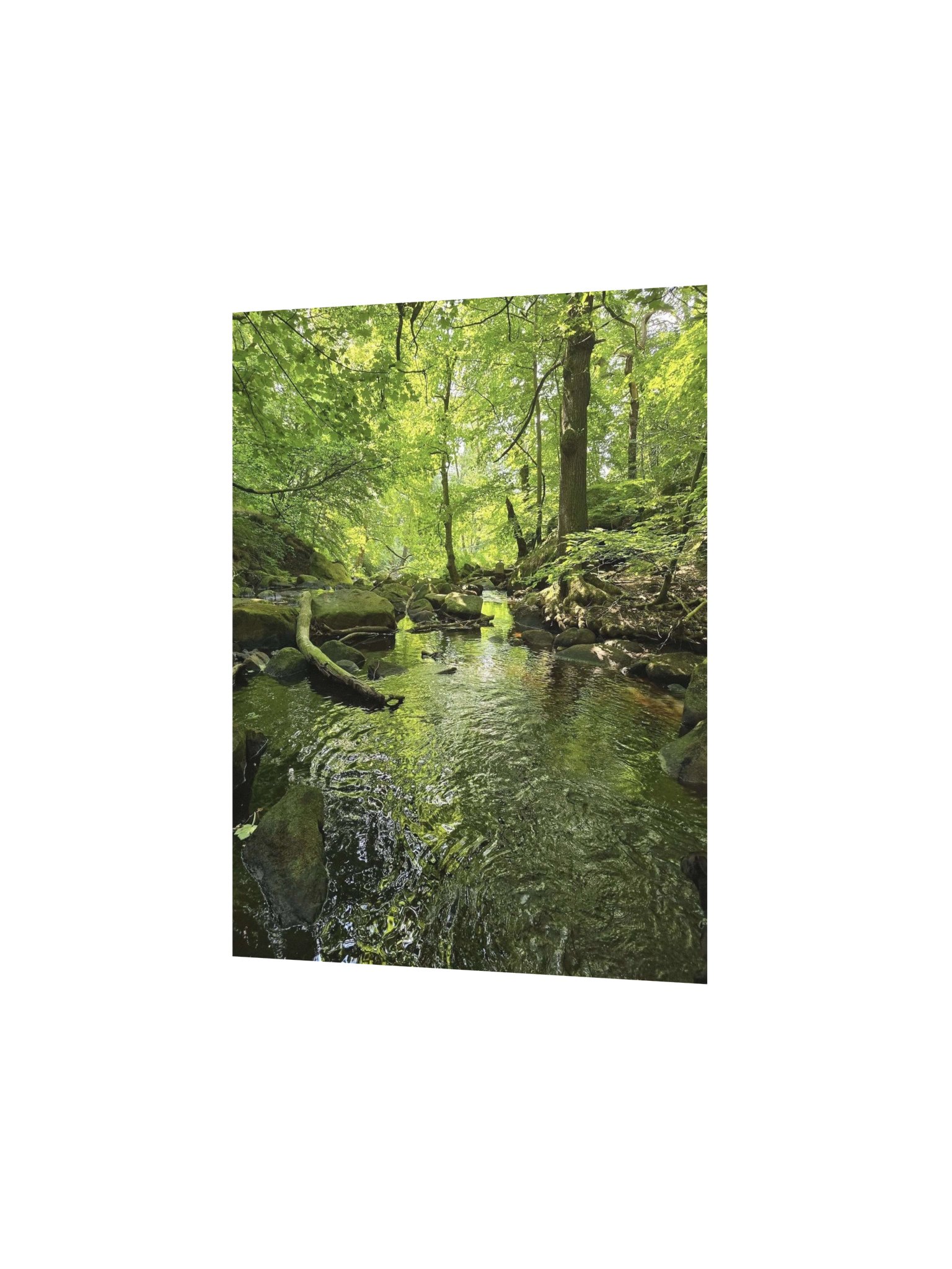 Padley Gorge product image (2)