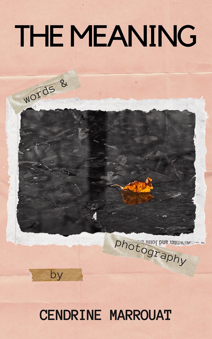 The Meaning product image (1)