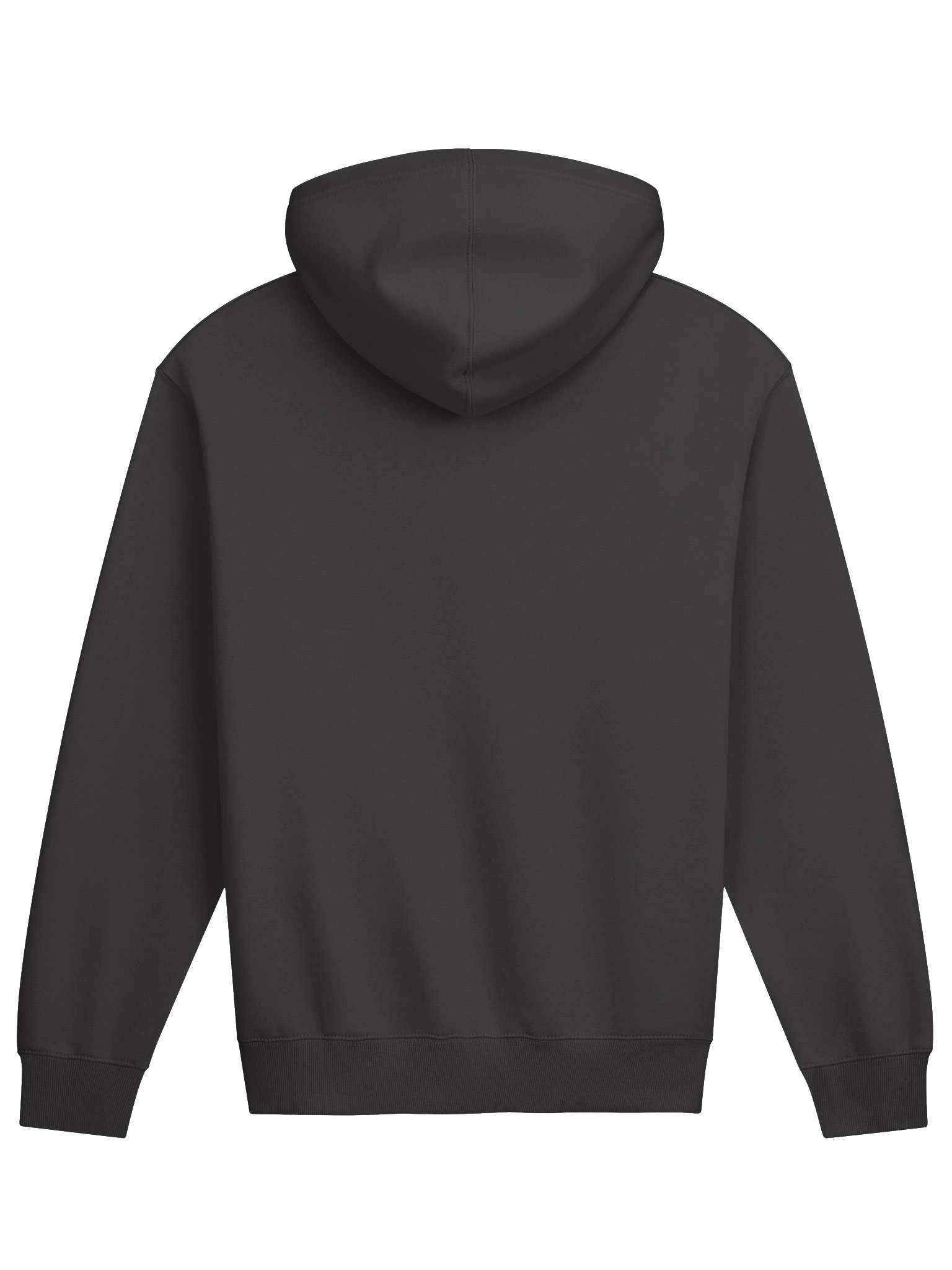 Hoodie classic K0 product image (6)