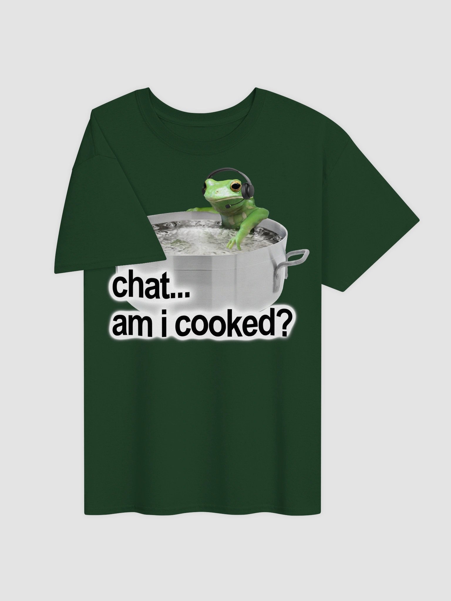 Chat Am I Cooked Frog T-shirt product image (4)