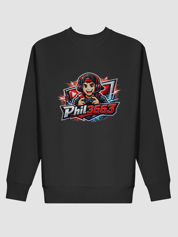 Hoodie [Phil3663] product image (2)