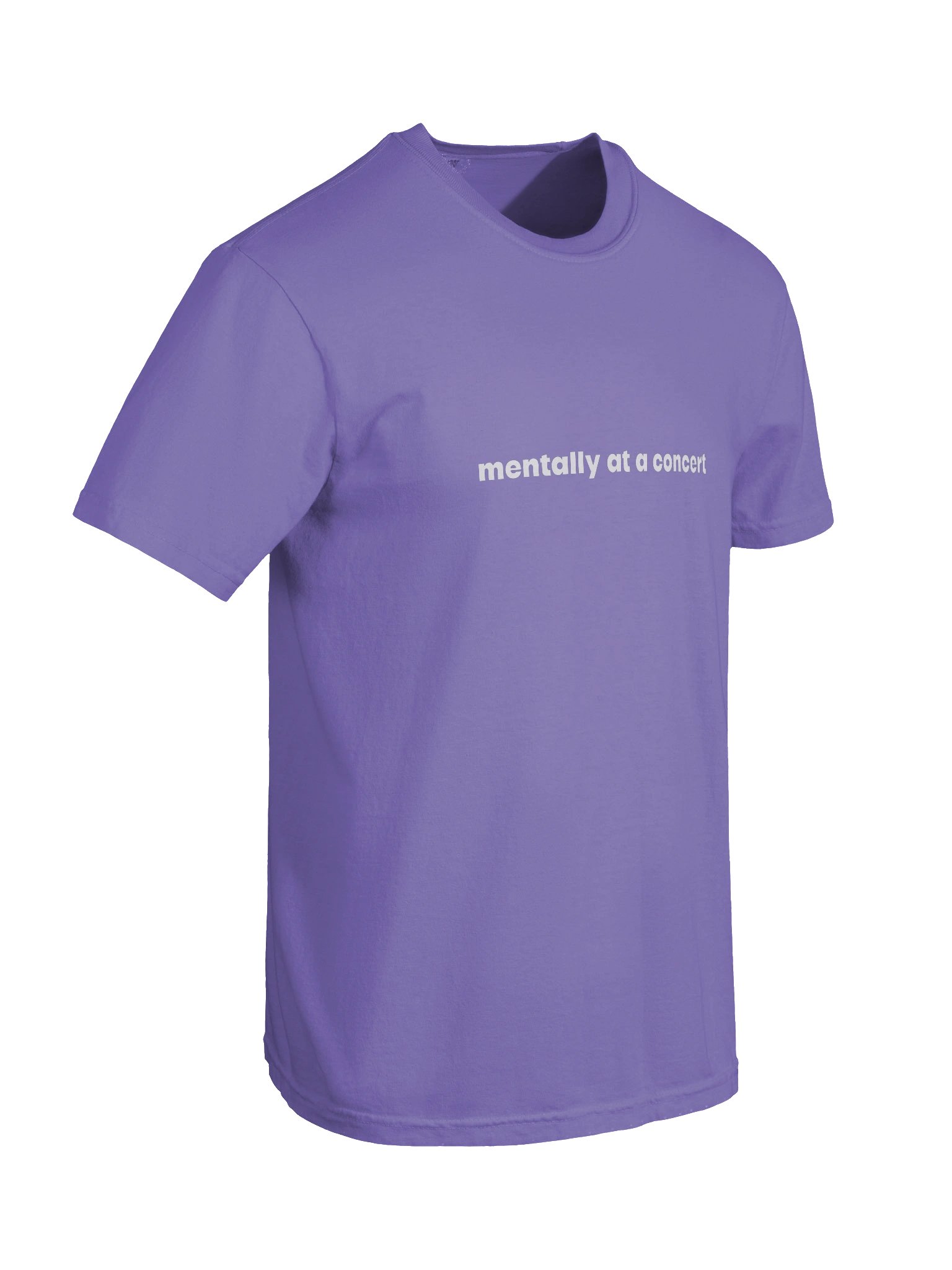 "mentally at a concert" Tee product image (8)
