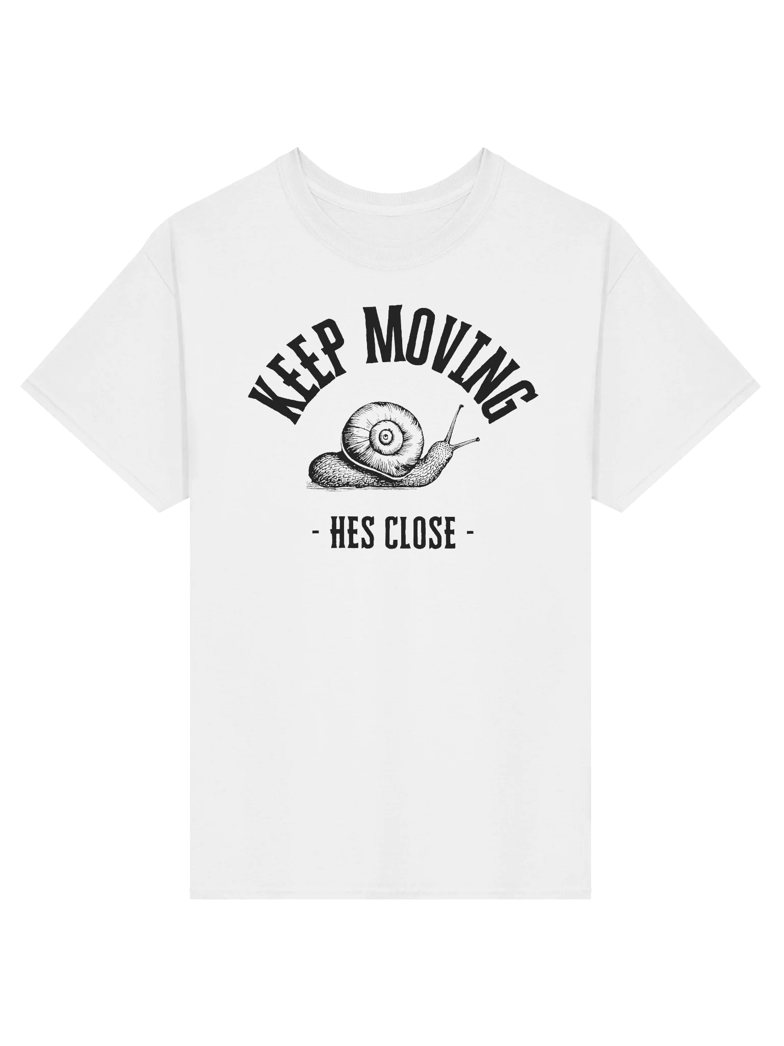 Escaping the Snail’s Pace product image (1)