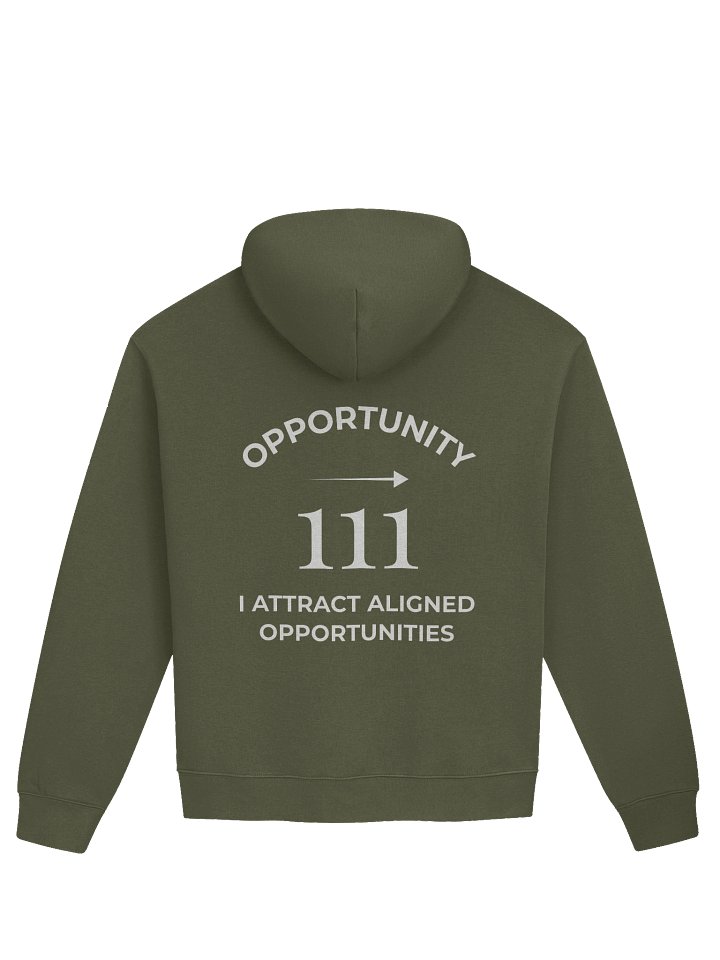 Unisex Premium Oversized Hoodie - 111 — I attract aligned opportunities product image (21)