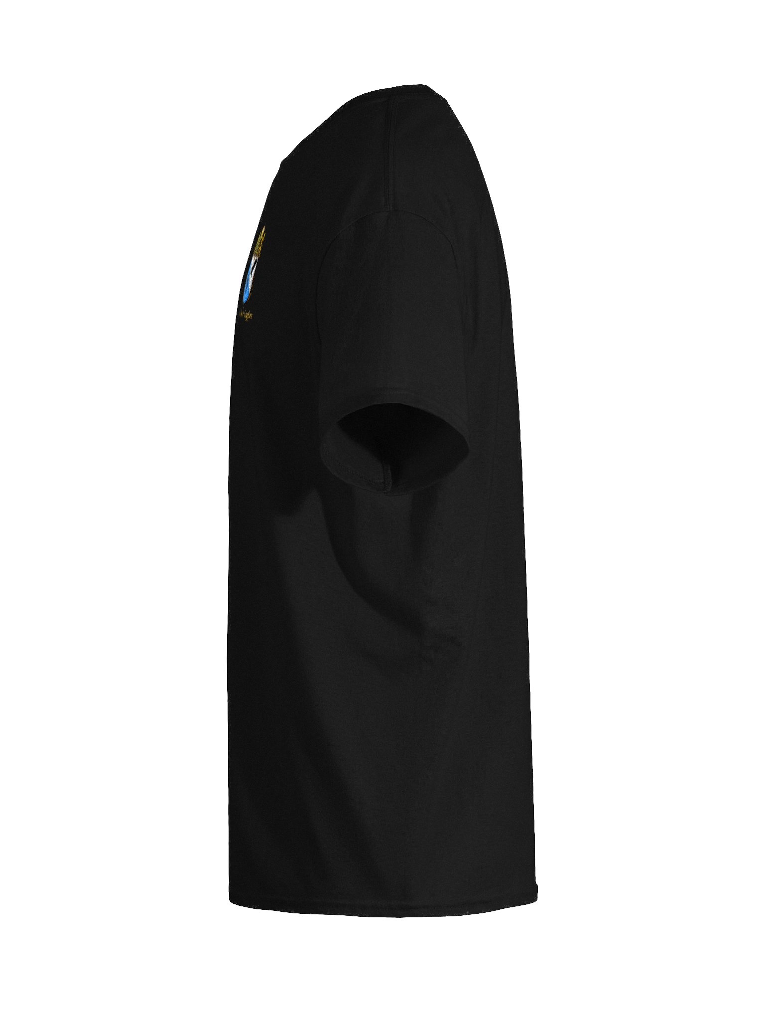 Black Eagles embroidered t-shirt product image (53)