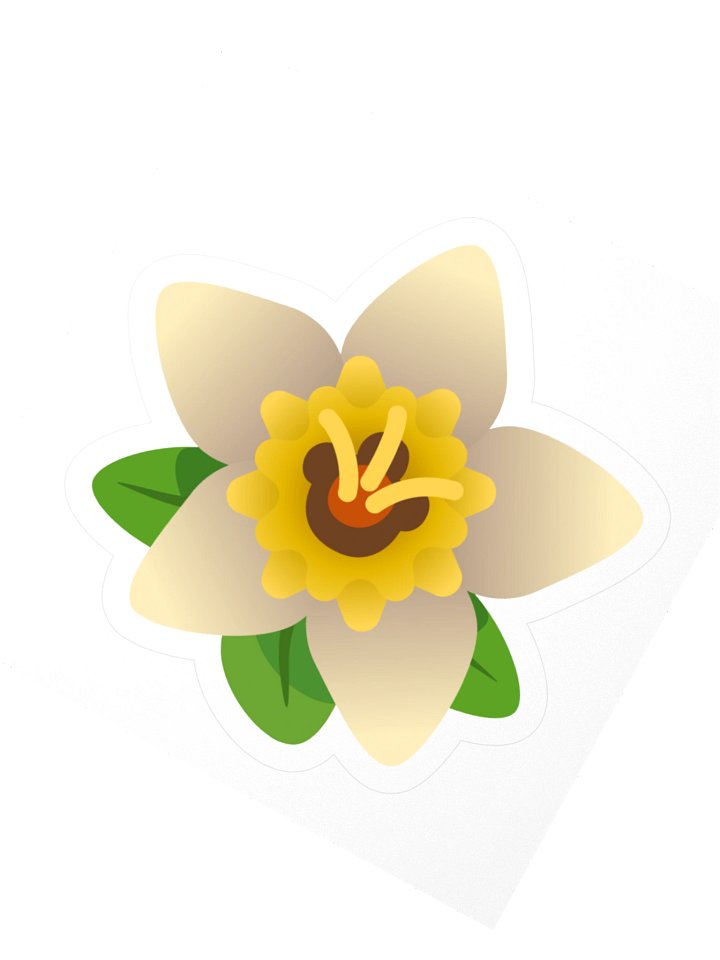 Daffodil product image (2)