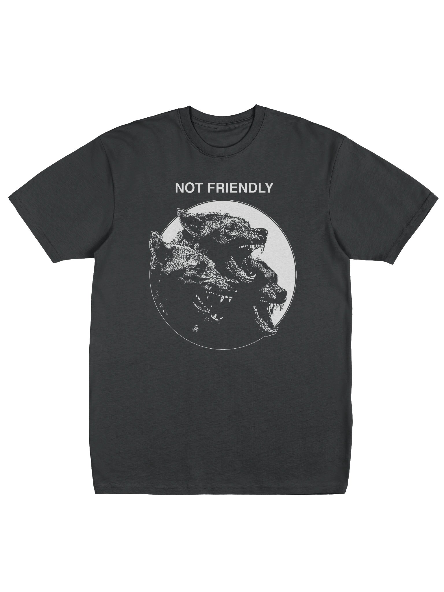 NOT FRIENDLY product image (1)
