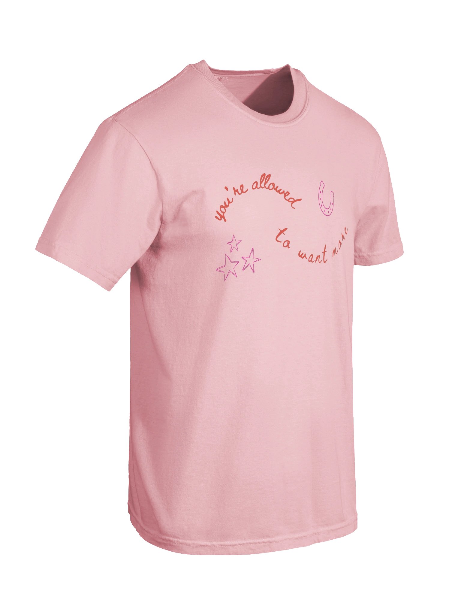 Neigh Neigh - Tee product image (8)