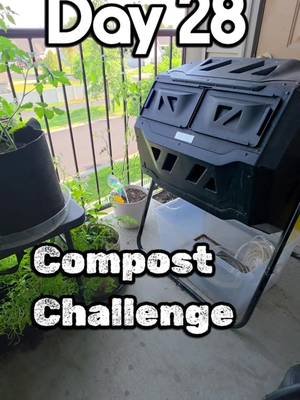 Day 28 of the Compost Challenge #30daychallenge