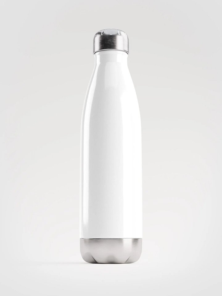 Stainless Steel Water Bottle 2025 product image (2)