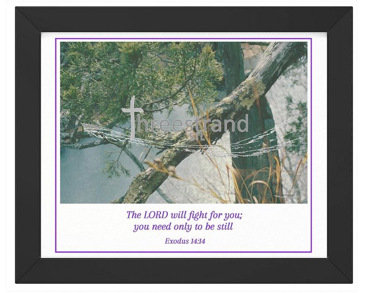 Vibrant Ayous Wood Framed Poster - Endurance product image (1)