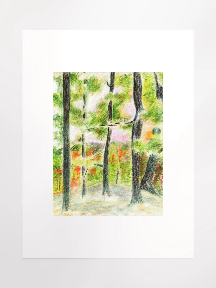 Tennessee Sunset KOA 10.05.85 print product image (2)