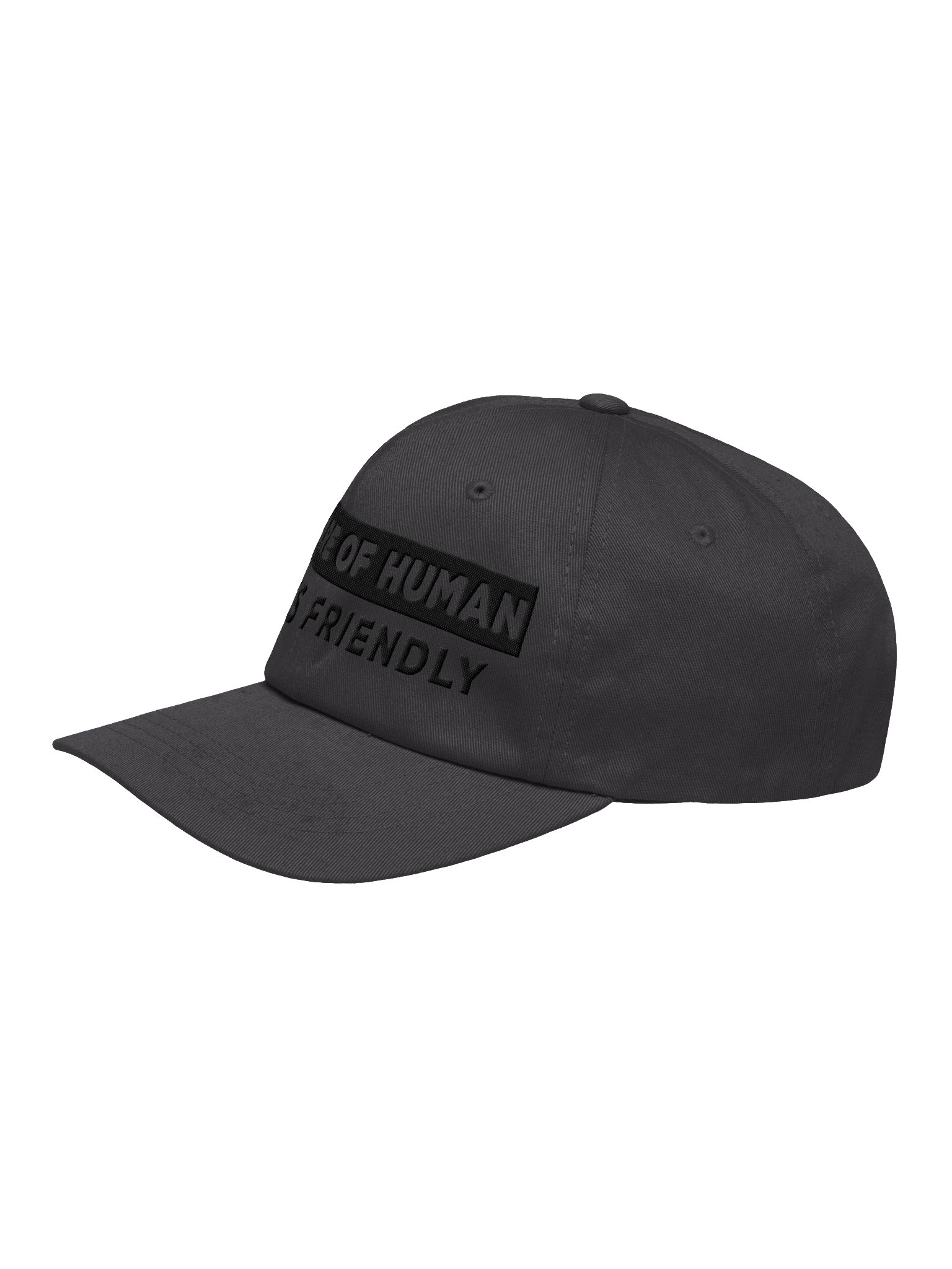 Beware of Human. Dog Is Friendly (Embroidered) Low Contrast (Black) Classic Dad Hat product image (4)