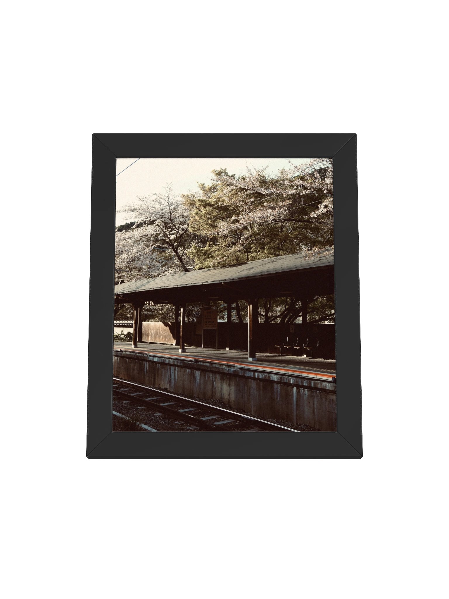 Japan Train Sation with Sakura product image (12)