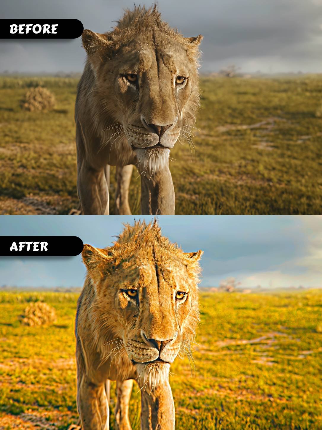 CARTOON / MOVIES 4K HDR CC product image (3)