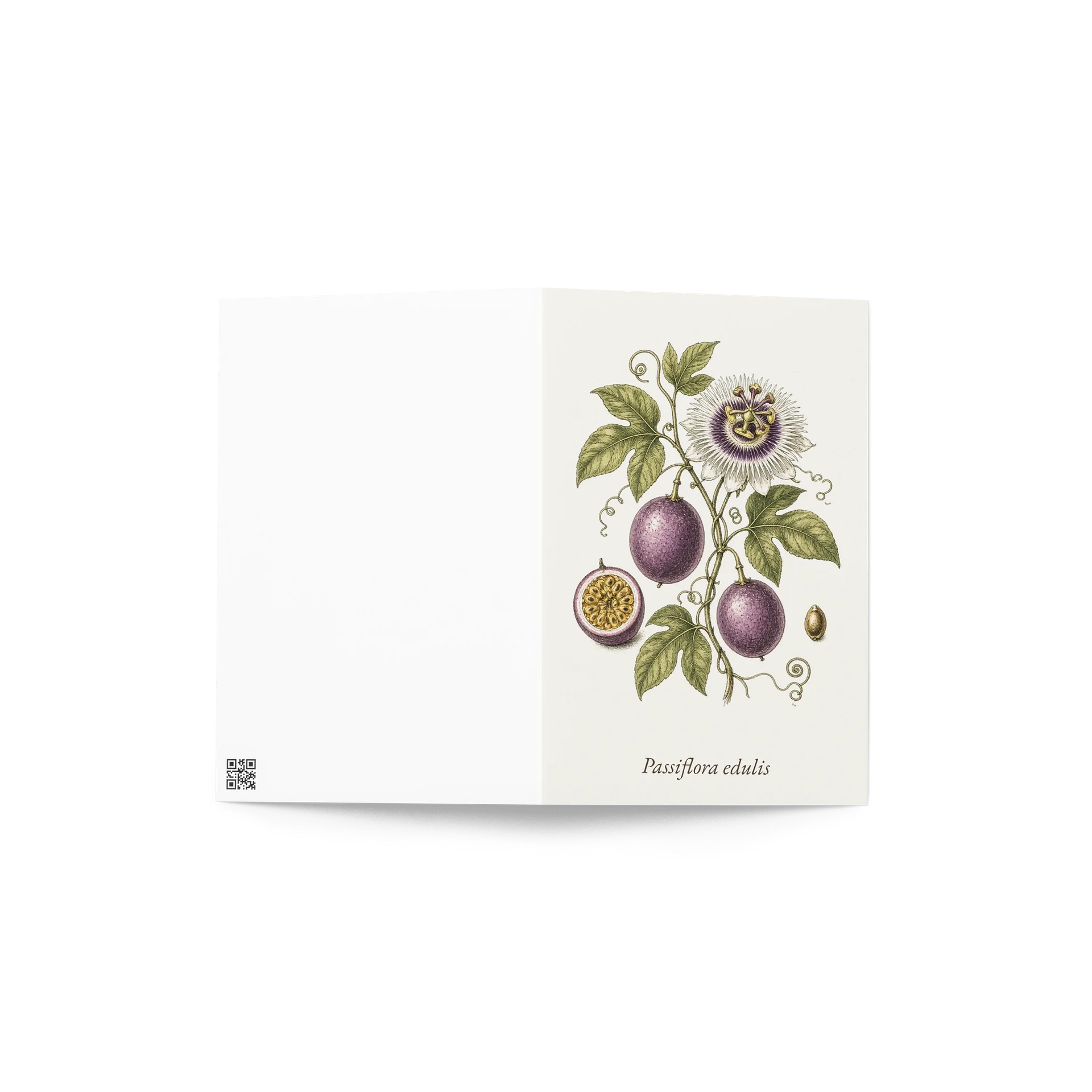 Vintage Botanical Passion Fruit Greeting Card product image (4)