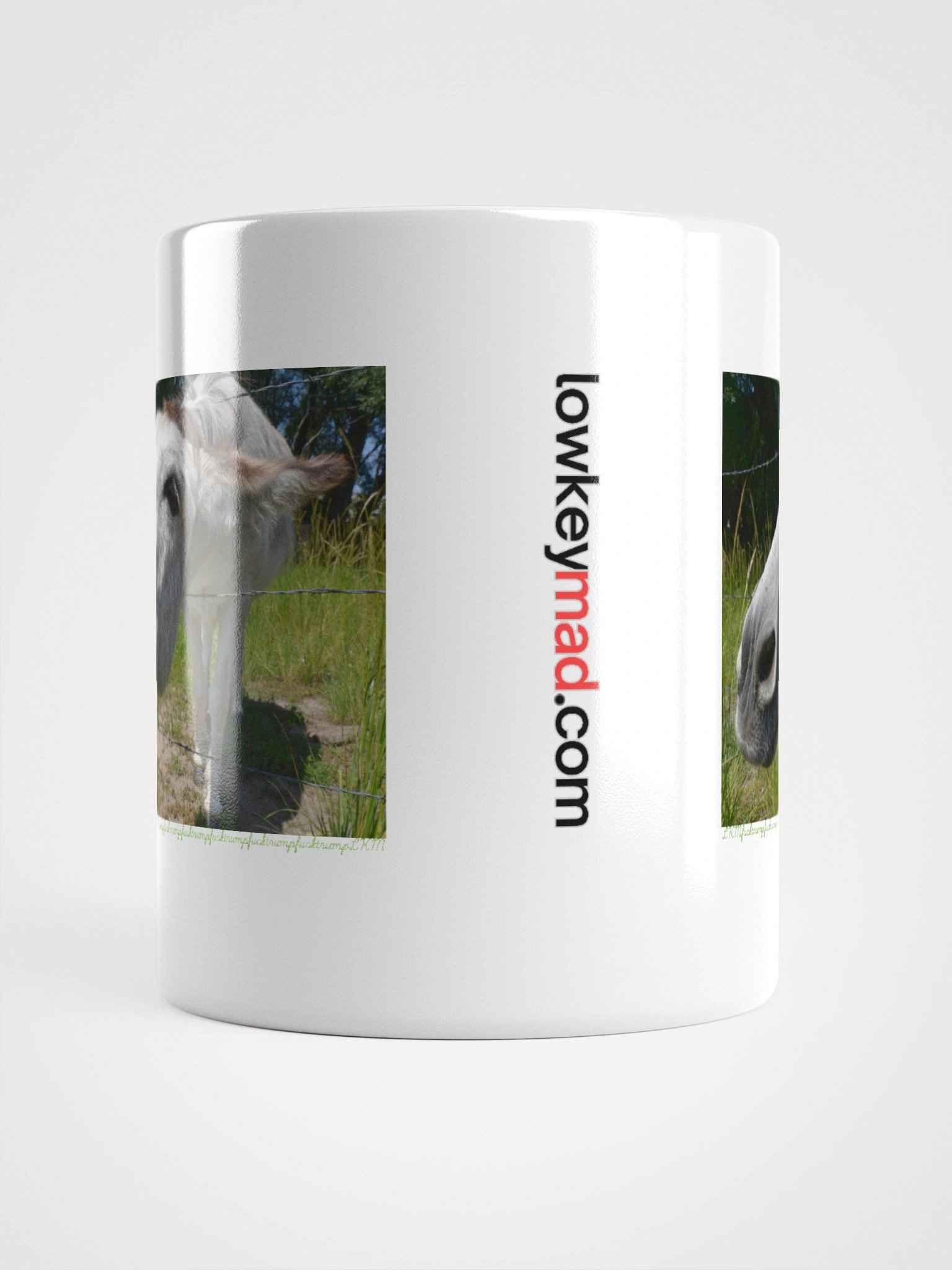 Donkey Says FT LKM Mug product image (6)