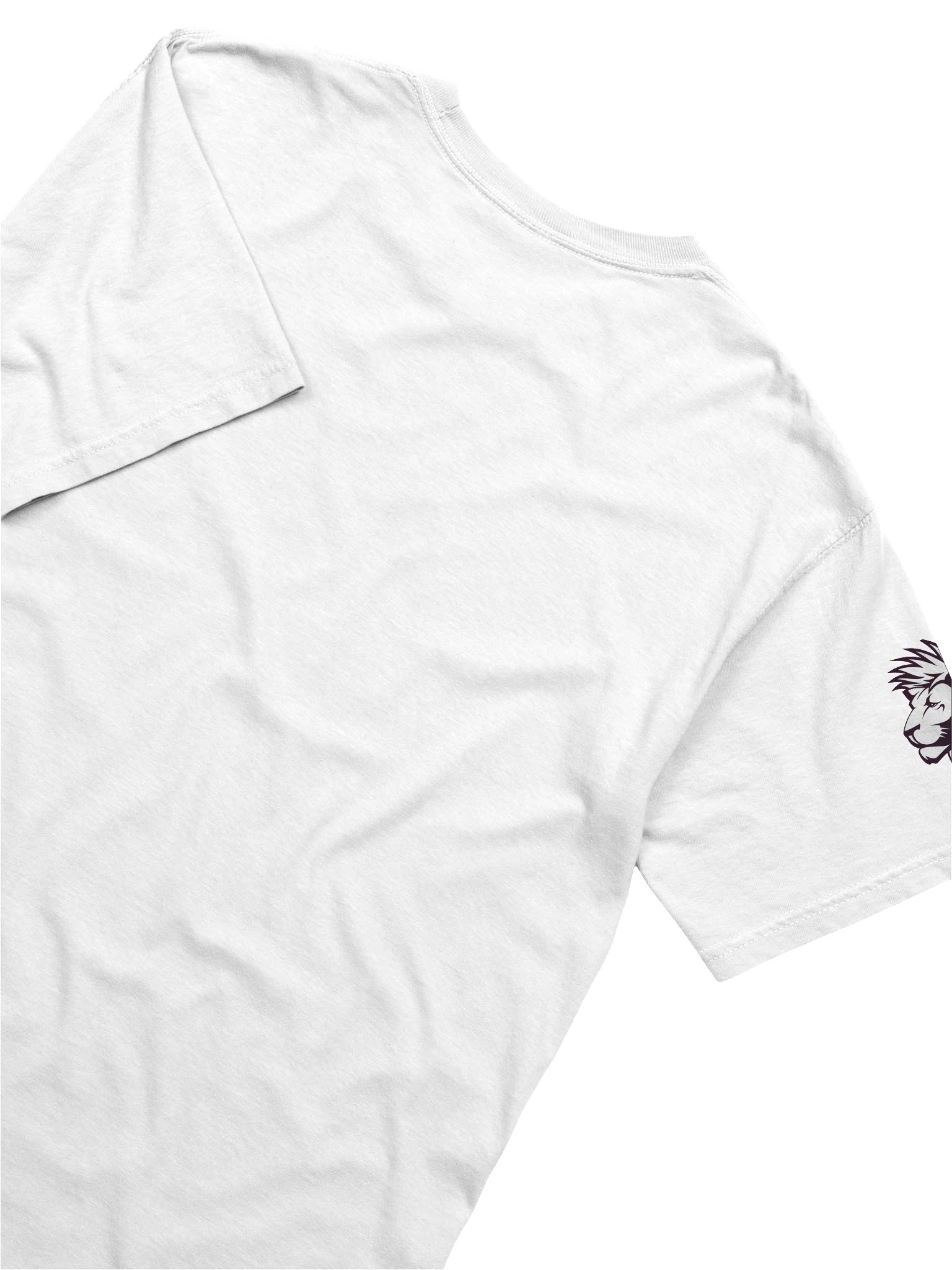 AD HD Squirrel Distraction T-Shirt product image (36)