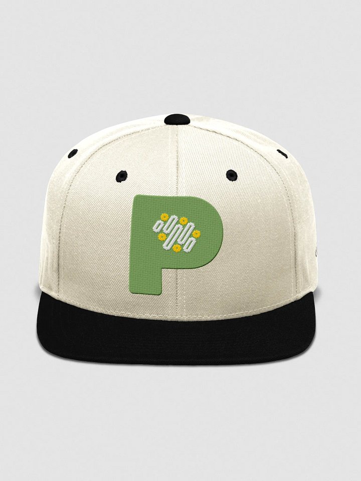 Pixmin Icon Snapback Cap product image (1)