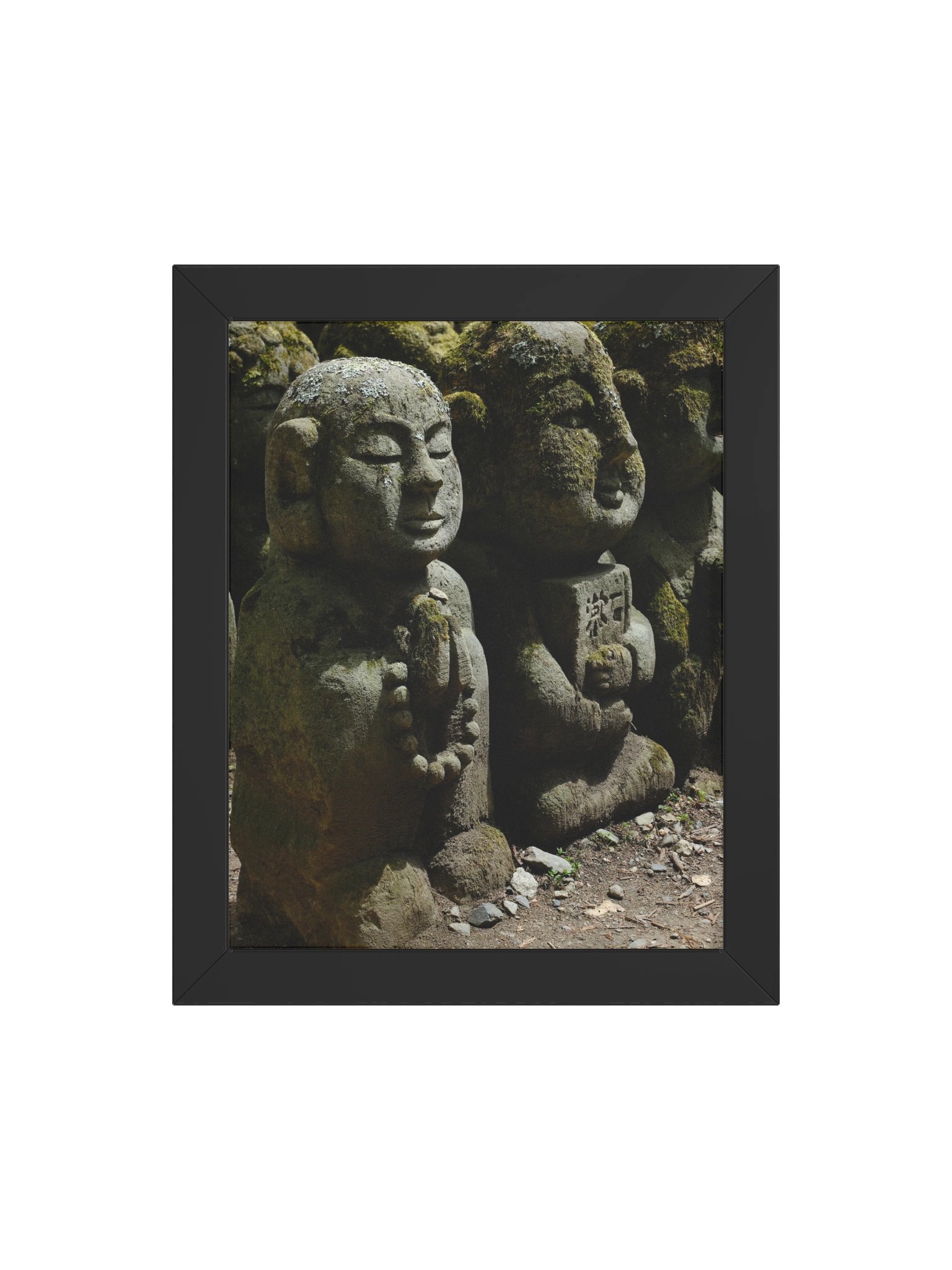 Mossy Buddha product image (68)