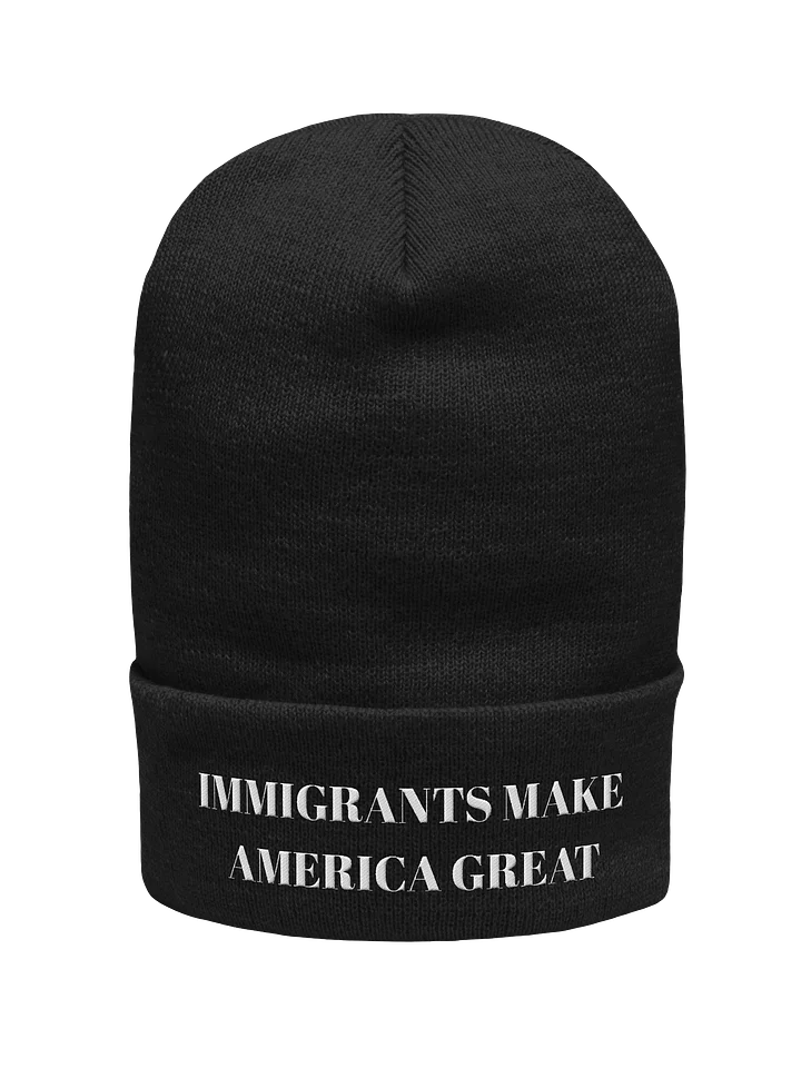 IMMIGRANTS MAKE AMERICA GREAT BEANIE product image (1)