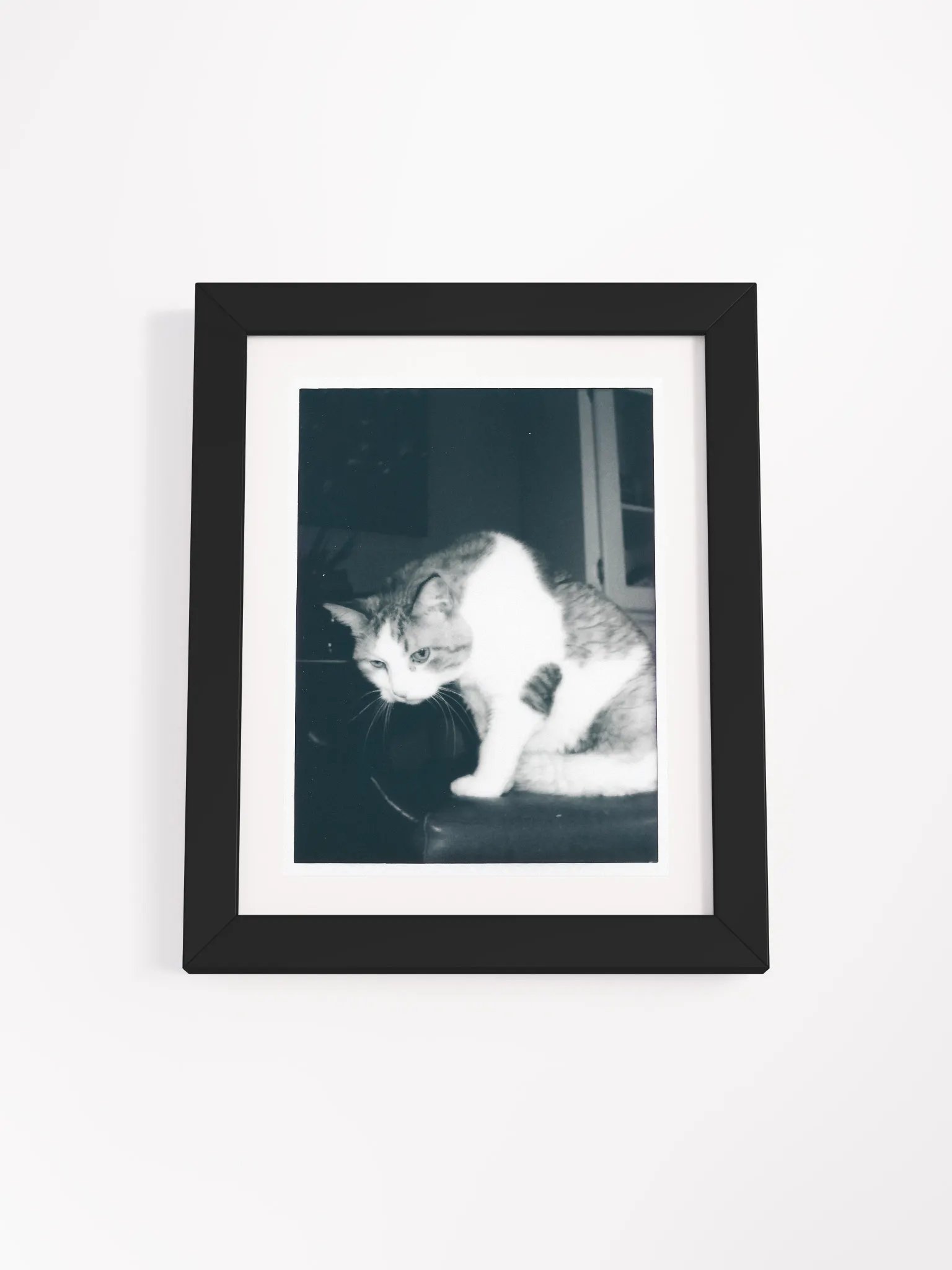 Wendell B&W product image (1)