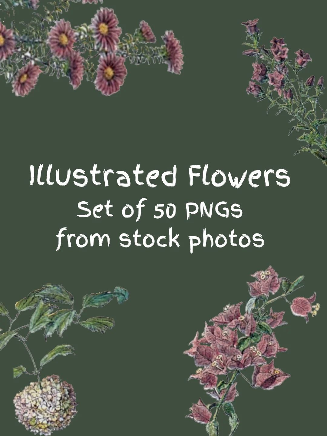 Illustrated Flowers PNG Set product image (1)