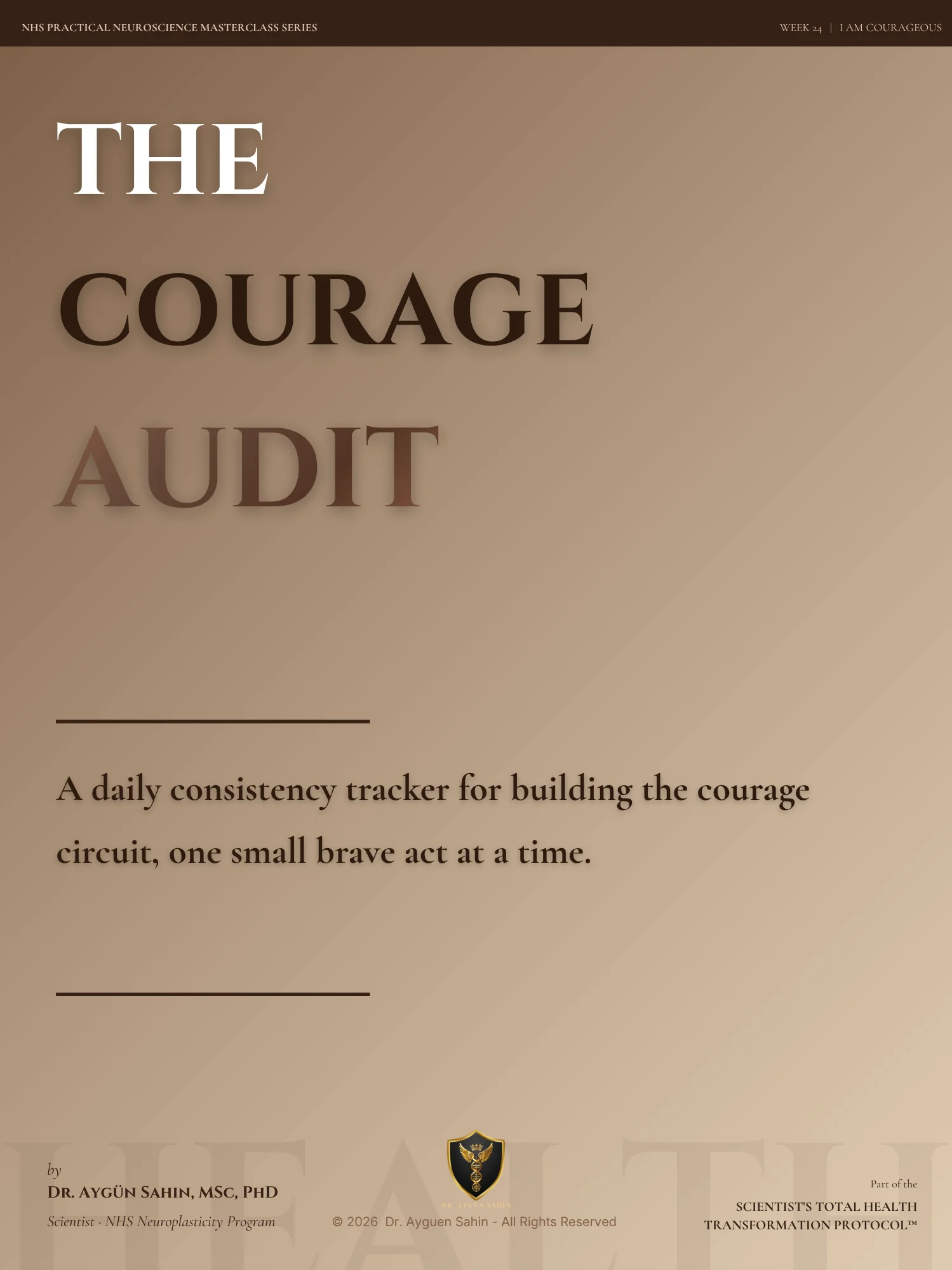 The Courage Audit product image (1)