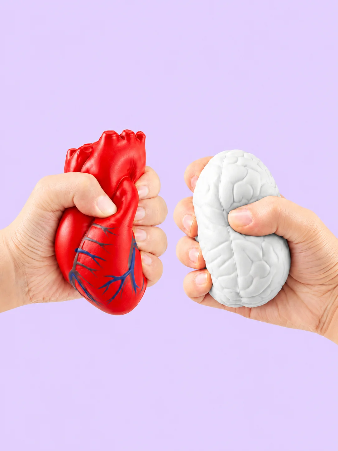 Anatomical Heart and Brain Foam Stress Ball Set product image (1)