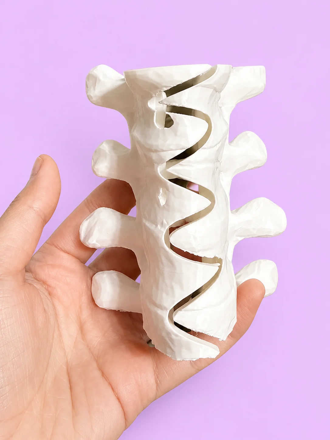 Spine Hair Claw Clip product image (3)