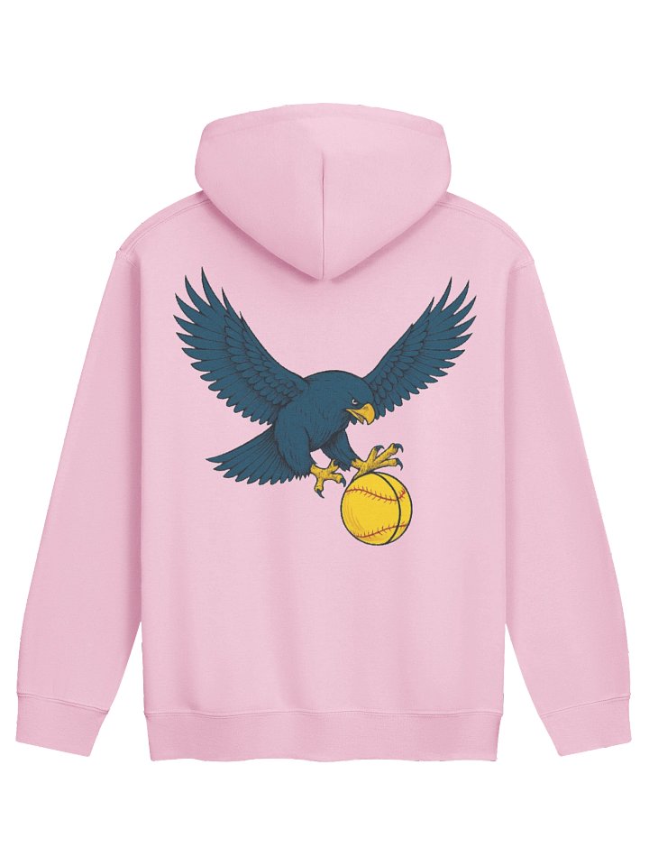 Lady Falcons Pink Softball Hoodie product image (1)